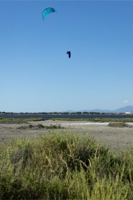 Duotone Kiteboarding-Evo D/LAB 2027 Kite