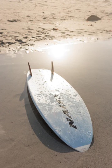 Naish-Fish 2024 Surfboard