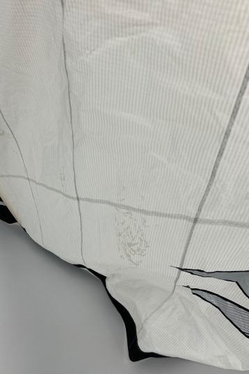 Naish-Psycho Nvision Kite (DEMO)