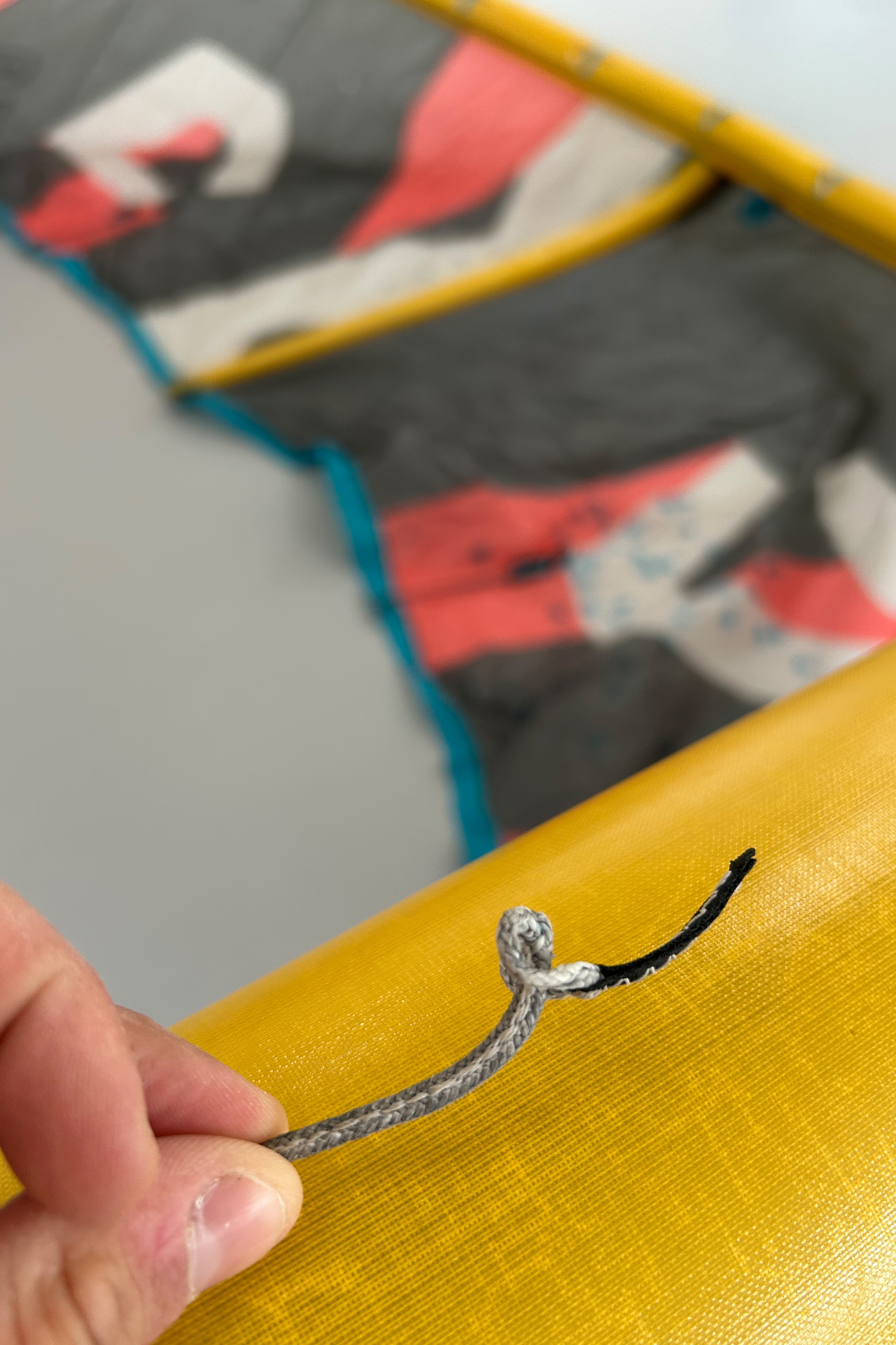 Duotone Kiteboarding-Evo D/LAB 2024 Kite (2nd)