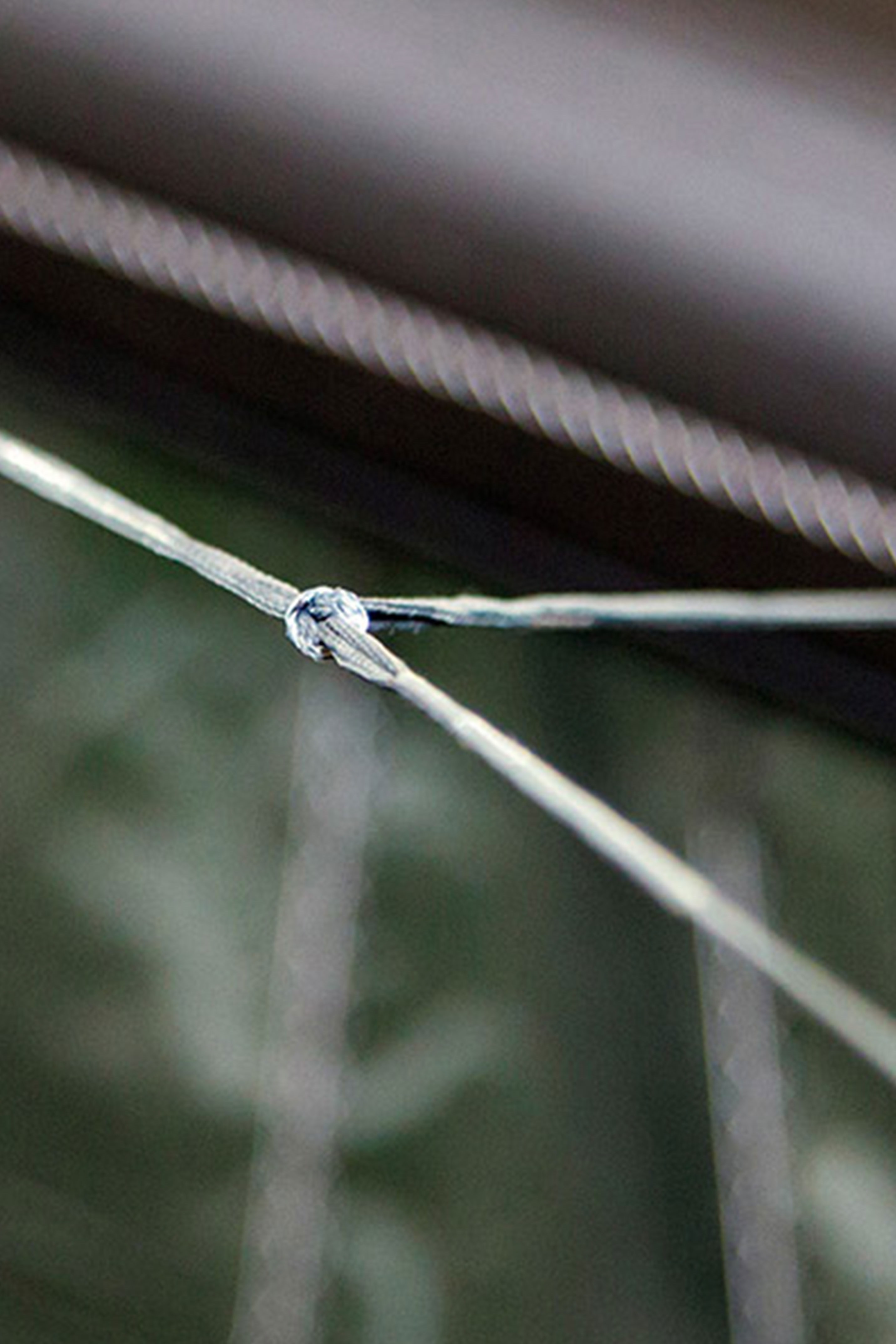 Ozone-Reo V7 Ultra-X Kite